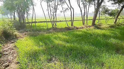 Road fucky-fucky couple MMS gonzo