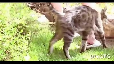 cherry attempts her 1st knob