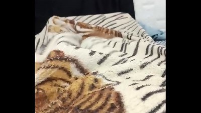 I love jerking in the morning before going to college.