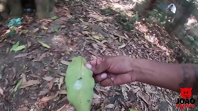 I hastily ate Novinha no Mato until I loved it