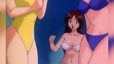 young man takes the part-time job of his dreams at a beach hostel surrounded by gorgeous damsels